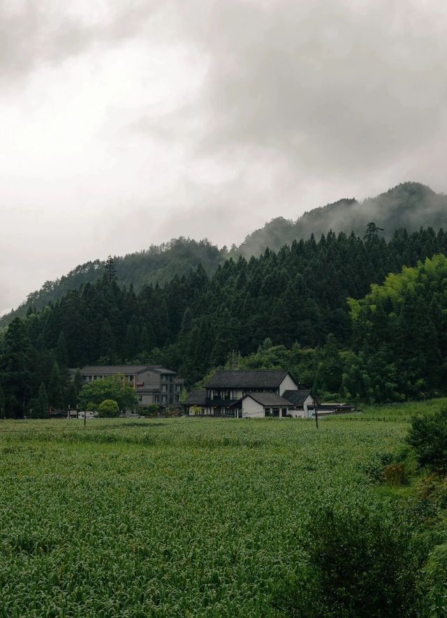 景寧｜浙江唯一少數民族，原始小眾無人知曉