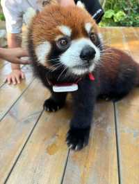 南通野生動物園