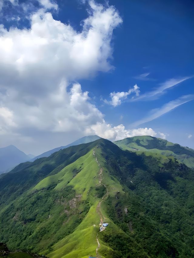 「武功山草甸徒步，似闖入宮崎駿嘅夏日！」