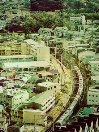 Hidden Gem Near Osaka! A Day Trip to Sakai City
