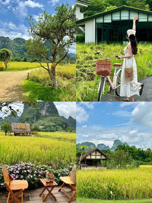 山腳稻田邊，藏著與大地的溫柔對視