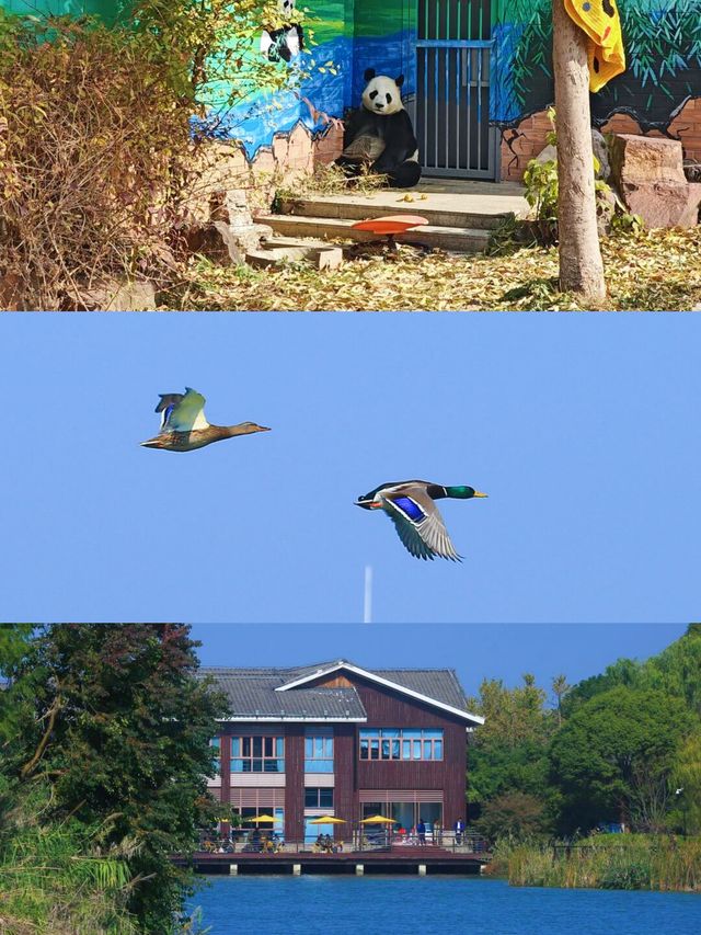 上海周邊太湖，裸心泊夏日玩水必衝​