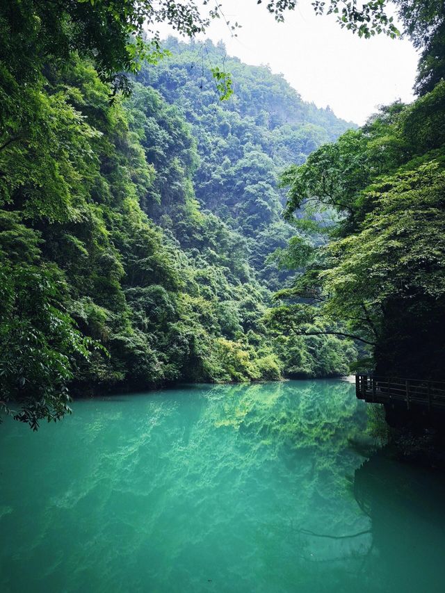 湖南省張家界 |  你同仙俠世界只差一個張家界