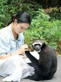 雲南隱藏玩法！帶小朋友去動物鄰居家「作客」