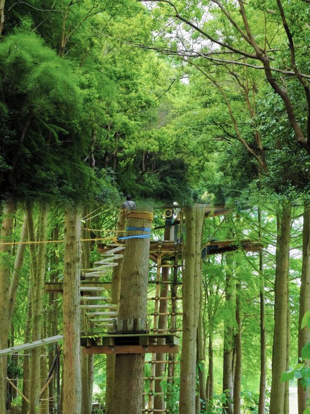 藏住一個超治癒嘅秘密花園今次帶大家打卡上海海灣森林公園
