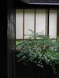 六月的雨天，是一個適合發呆的能量場