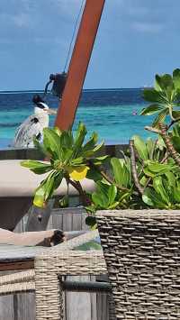 Two Blissful Weeks in Paradise