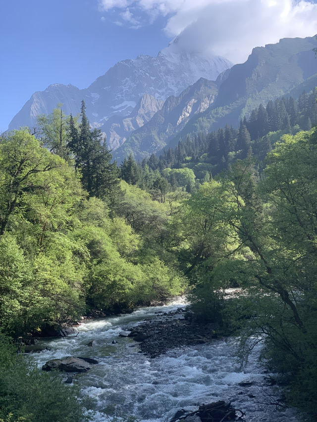 Siguniangshan - changpinggou In June