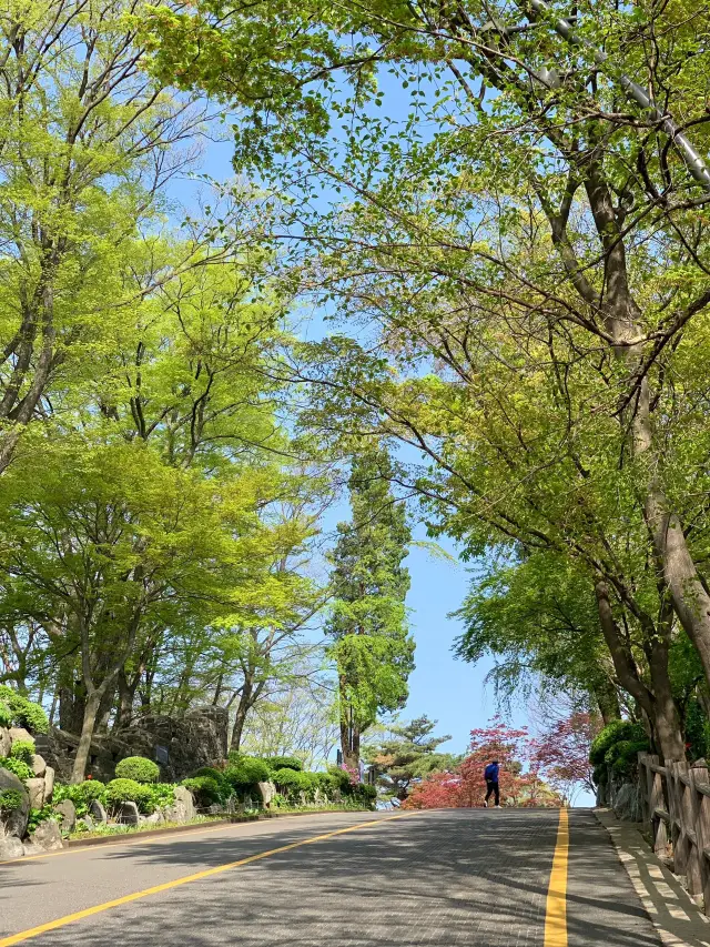 首爾南山公園遊覽攻略