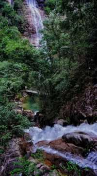隱世秘境！穿越九龍江國家森林公園的綠野仙蹤 **推薦理由** 南嶺綠寶石！森林覆蓋率達97%的