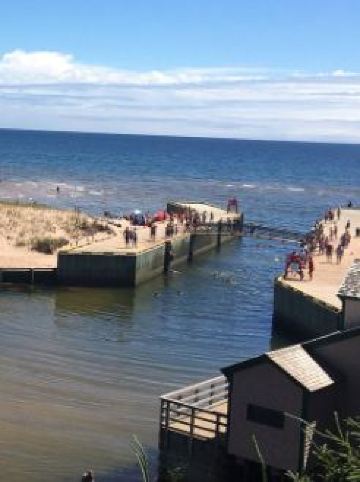 노래하는 해변 베이슨헤드 해변 여름 다리 점프 래프팅