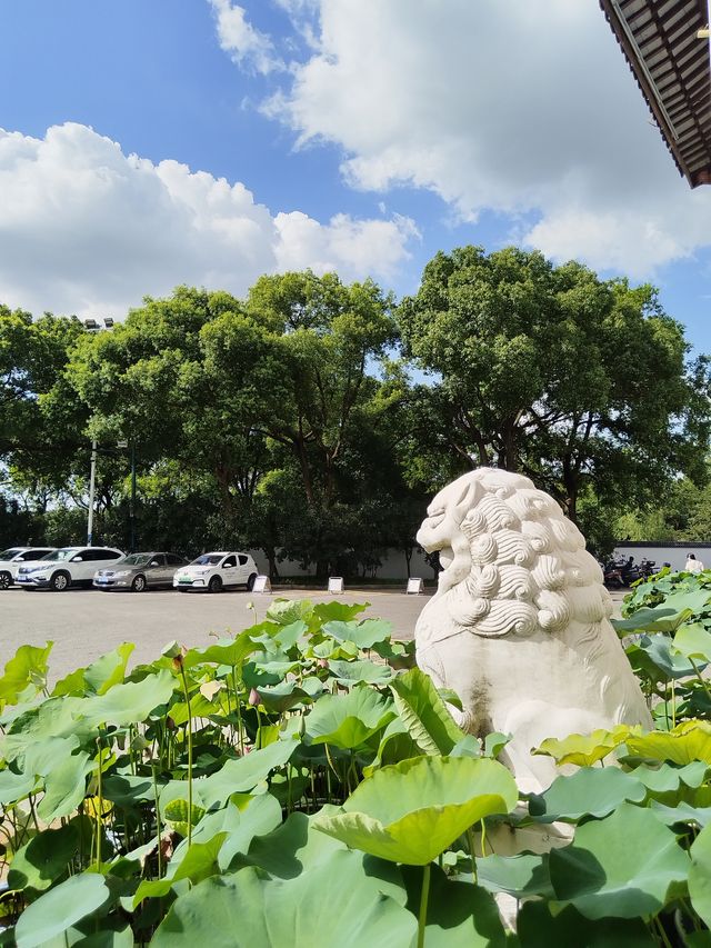 夏天的鼋頭渚，藏著太湖邊最清涼的詩意！