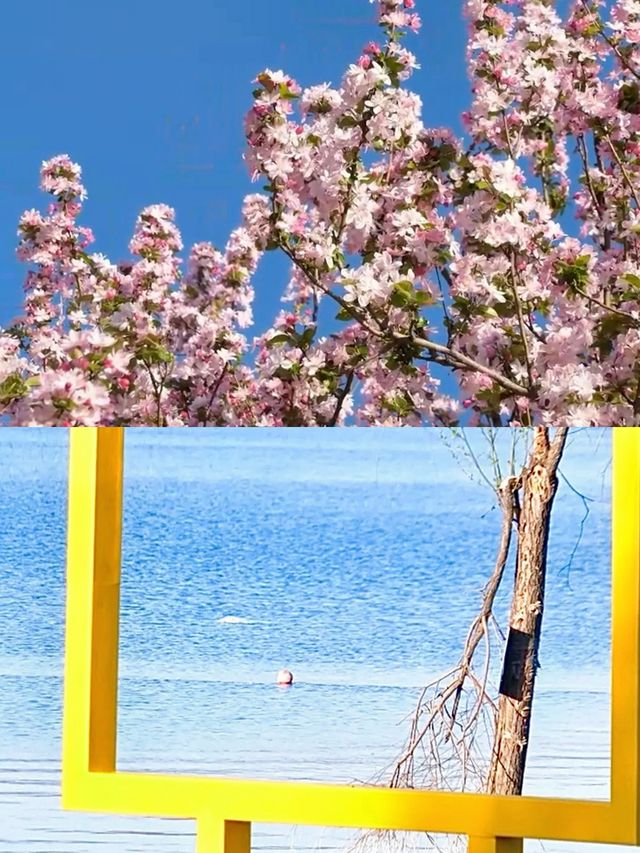 淄博周邊遊|邂逅文昌湖的浪漫與寧靜