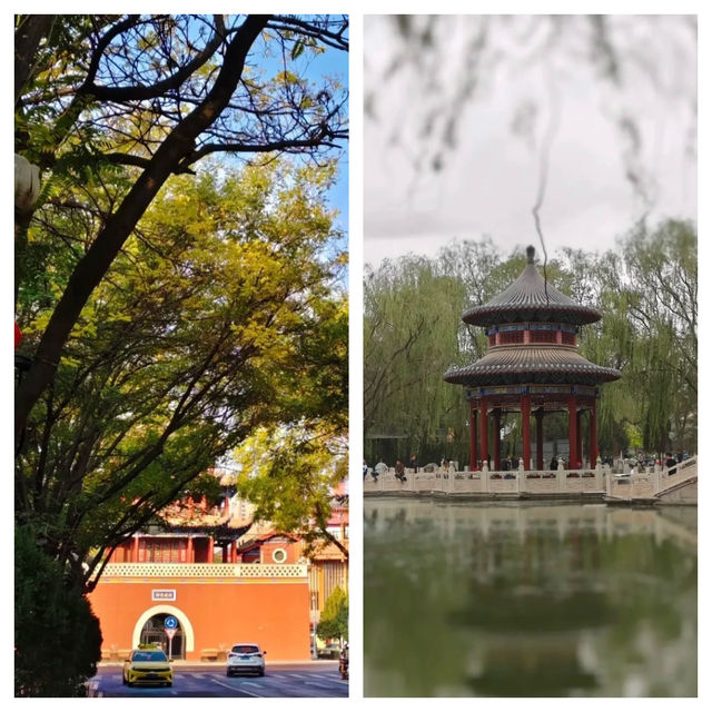 中衛 | 被低估的西北寶藏小城。