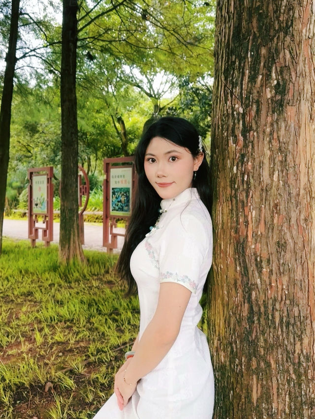 普洱五湖濕地公園｜漫步吸氧天堂，拍照散步絕了！