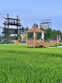 綠野仙蹤，田園詩意：西那母生態旅遊度假村