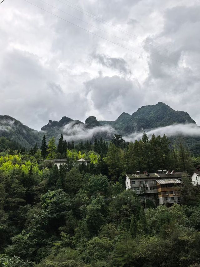 神農架雲海仙境指南