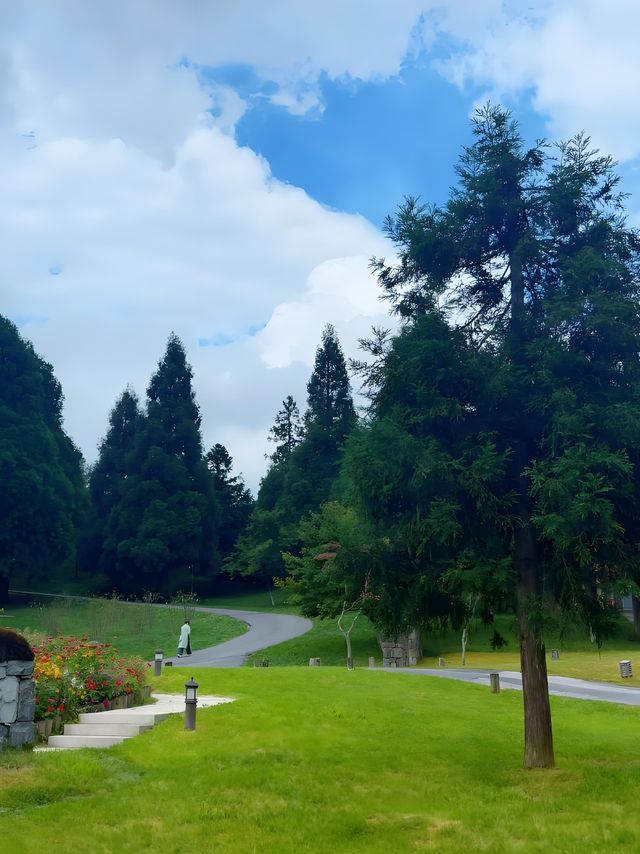 重慶仙女山自駕遊全攻略尋找那片洗滌心靈的綠野仙蹤