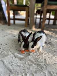 Unforgettable Family Getaway: Soneva Fushi Exceeds Expectations