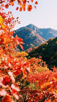 賞楓秘境——古北水鎮