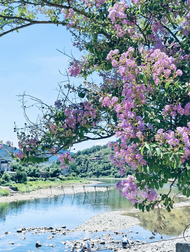 煙雨績溪必去絕美地 煙雨績溪必去絕美地