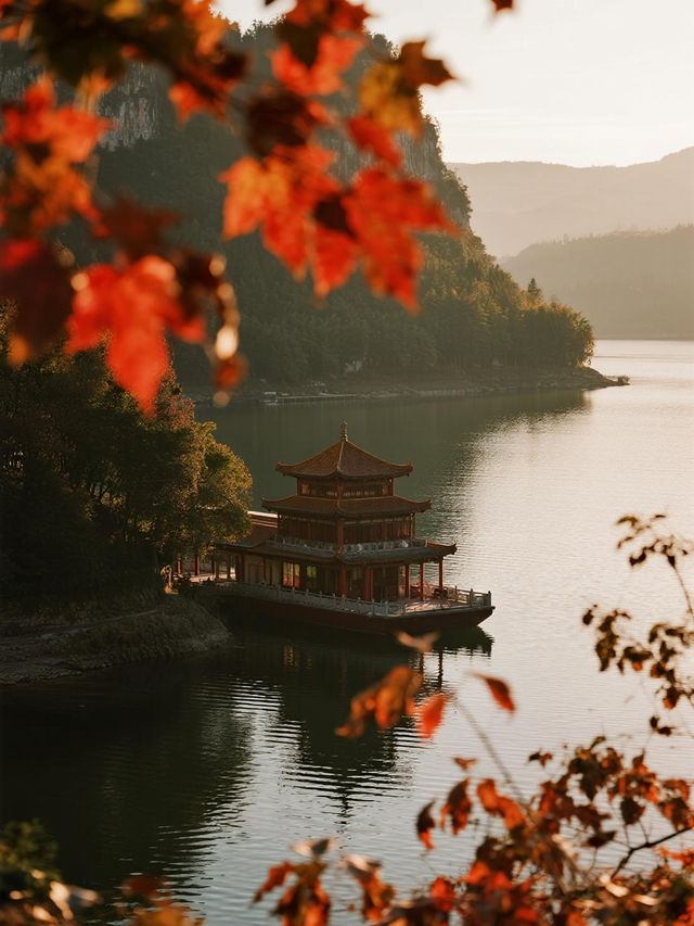 反向旅行爽呆了！茂蘭原始森林秋日探險，附攻略​