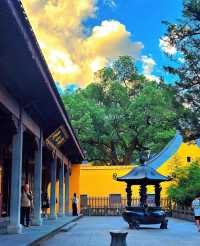 西湖靈隱寺財神廟，兩天一夜暢玩無雷超盡興