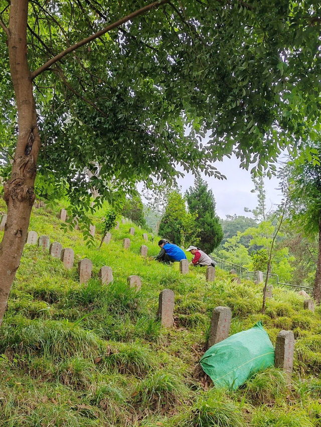 騰衝旅遊必區景點攻略，探索歷史與自然的完美結合