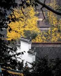 秋光潑墨處，長沙正清嘉