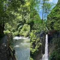 【重慶黑山谷｜夏日清涼秘境全攻略】