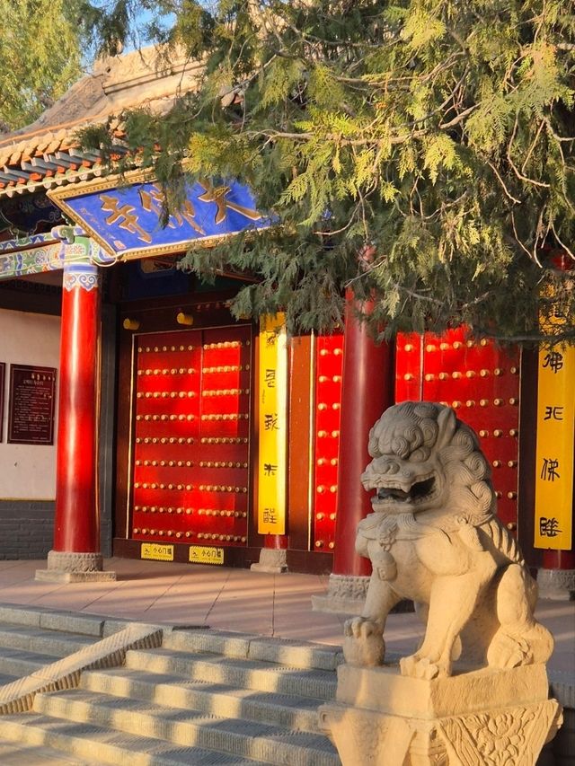 The Slumbering Giant of the Silk Road 🛌🪷