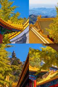 北京出發1小時，去乾隆巡行過的仙山賞秋去