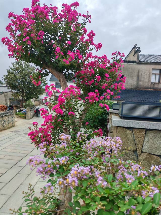 九華山祈福，稼軒村居有著最本真的慢生活