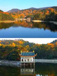 廬山很美，真心建議10-11月來，因為-