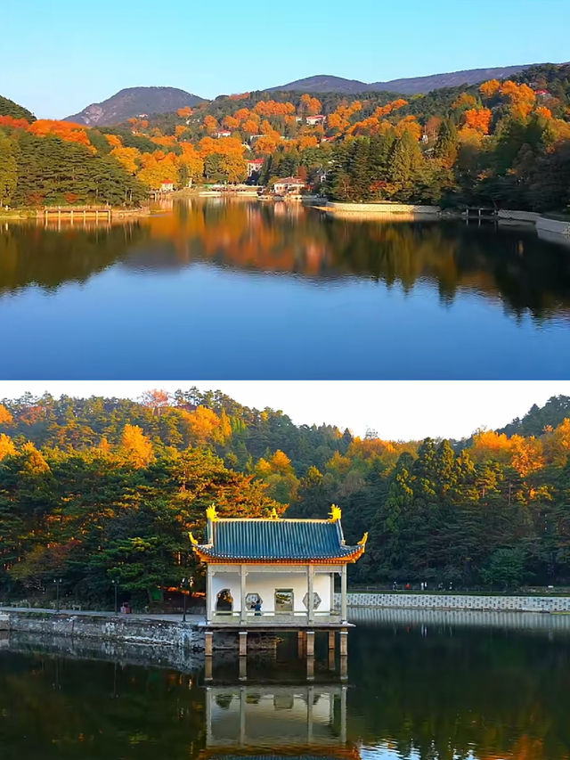 廬山很美，真心建議10-11月來，因為-