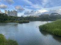 🌿 福田紅樹林生態公園｜城市裡的自然保護園區！