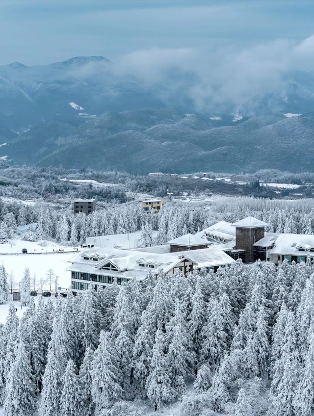 武隆仙女山