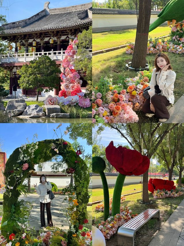 洛陽絕絕子！隋唐古城穿越之旅美到哭