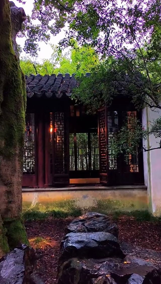 蘇州滄浪亭：藏在千年文脈裡的園林秘境