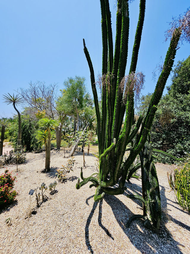 洛杉磯植物園 孔雀園 蓋蒂中心 天文台