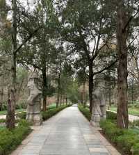 踏入明孝陵神道，歷史，觸手可及。