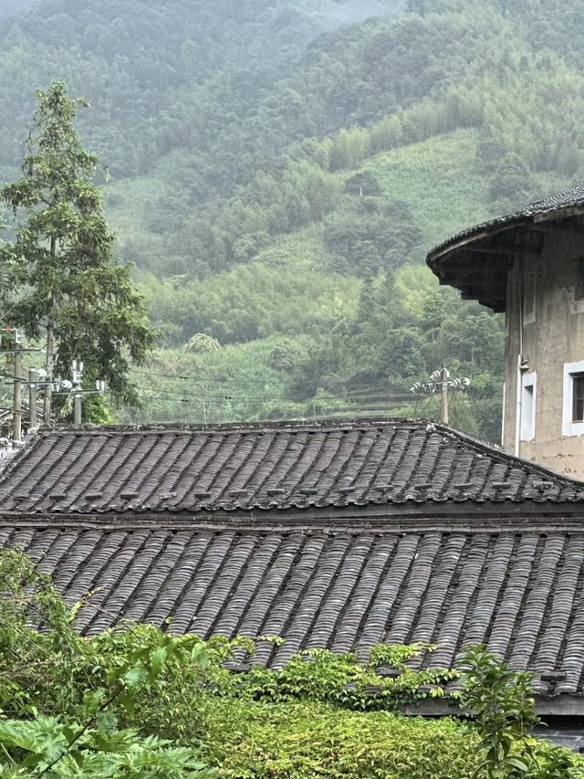 藏在南靖土樓裡的世外桃源睡進千年文化裡