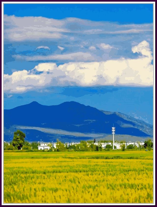 大理旅遊踩坑案例
