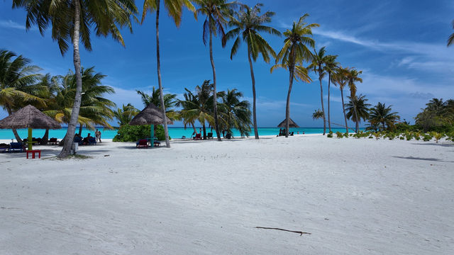 Perfectly Blissful Stay Perfectly Blissful Stay