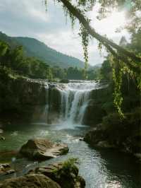 福建親子徒步天花板！漫步千年藤蔓森林，住溫泉別墅賞秋攻略