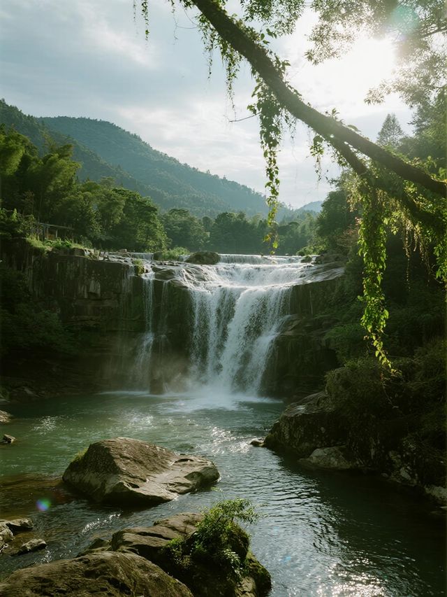 福建親子徒步天花板！漫步千年藤蔓森林，住溫泉別墅賞秋攻略