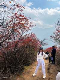 秋日圭峰山徒步攻略