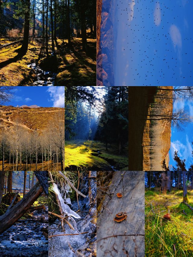 免費吸氧地！貴德江拉旅遊實用筆記