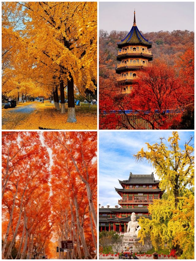 旅行天花板！從避寒海島到冰雪王國，承包你的冬日浪漫