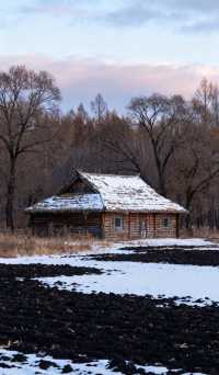 華夏東極封神!11月撫遠攻略:追中國最早日出+雪地觀熊